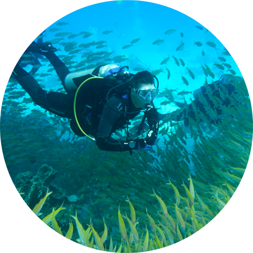 OWND (Open Water Nitrox Diver)